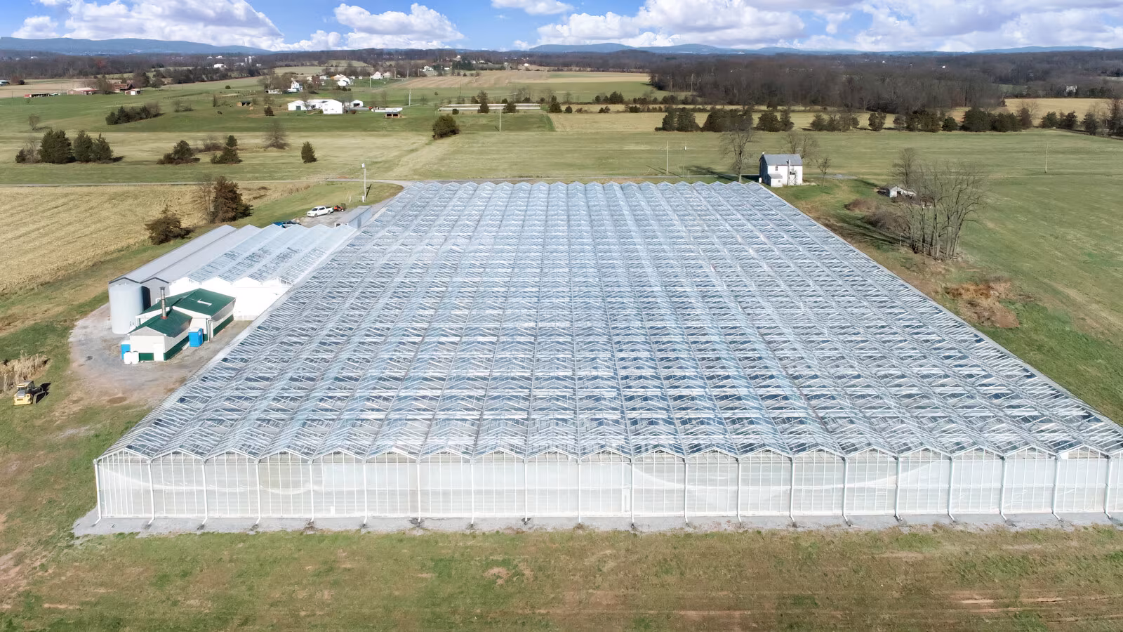 UK Greenhouse Investment: Why Commercial Greenhouse Farming in the UK Is Attracting Serious Investors